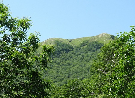 Monte Pedone
