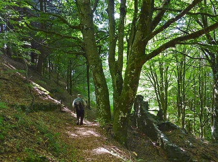 Nei pressi dei ruderi di Fontana Antica