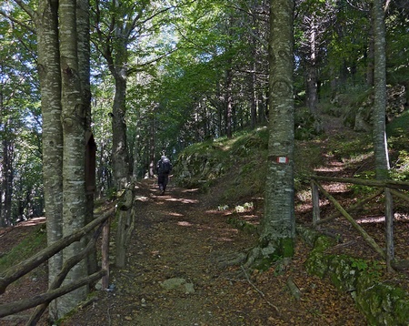 L'inizio del sentiero, presso il rifugio Carrara