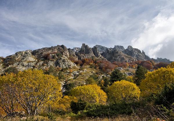 Vista della Cresta Garnerone dal sentiero 153