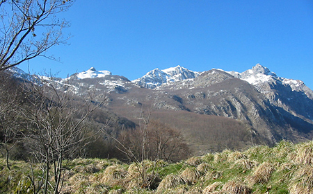 bella vista sulle Panie dai prati antistanti Colle a Panestra