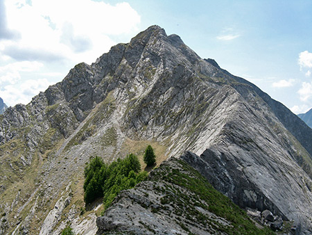 la cresta dell’Alto di Sella dalla Focetta dell’Acqua Fredda